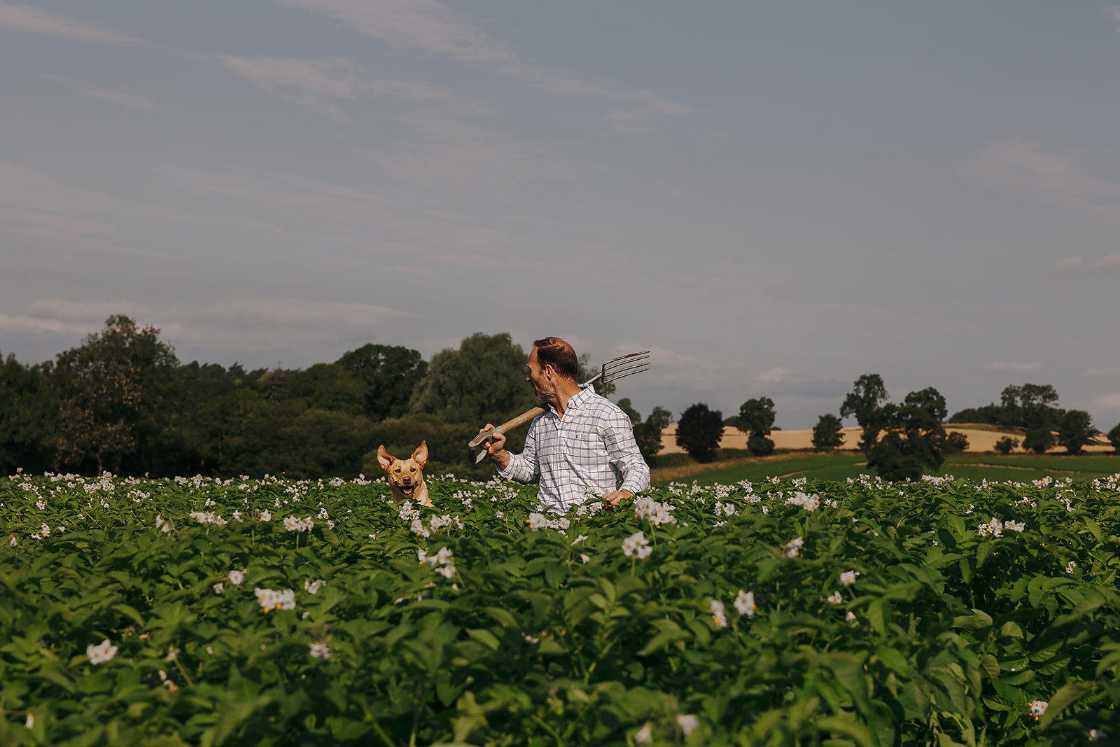 Craft in Bloom: The Beauty of Patience and Precision
