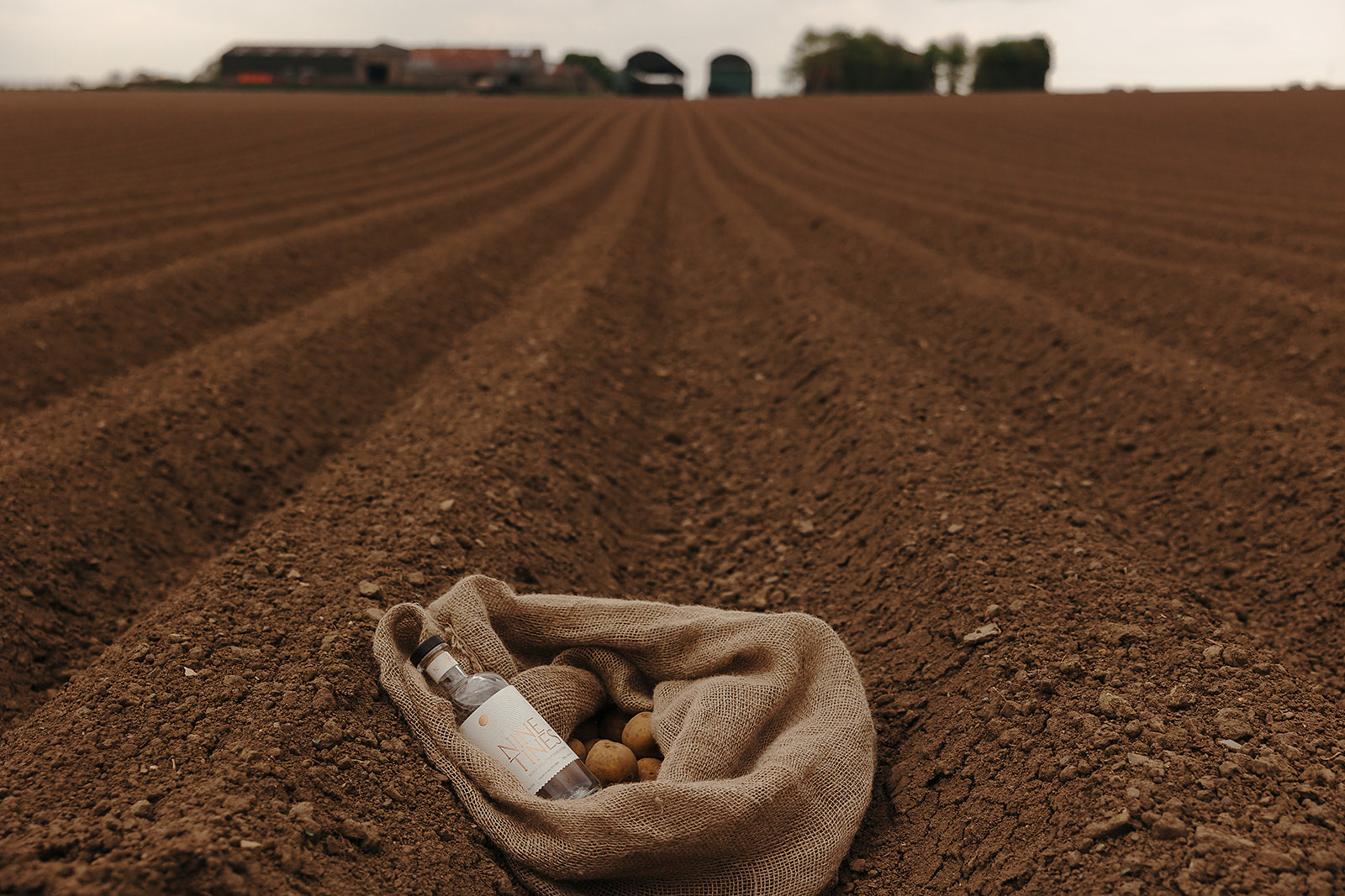 Our Spirit from the Soil! Autumn/Winter campaign