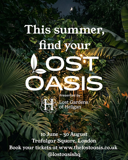 Nine Tines Takes Up Summer Residence at Lost Oasis