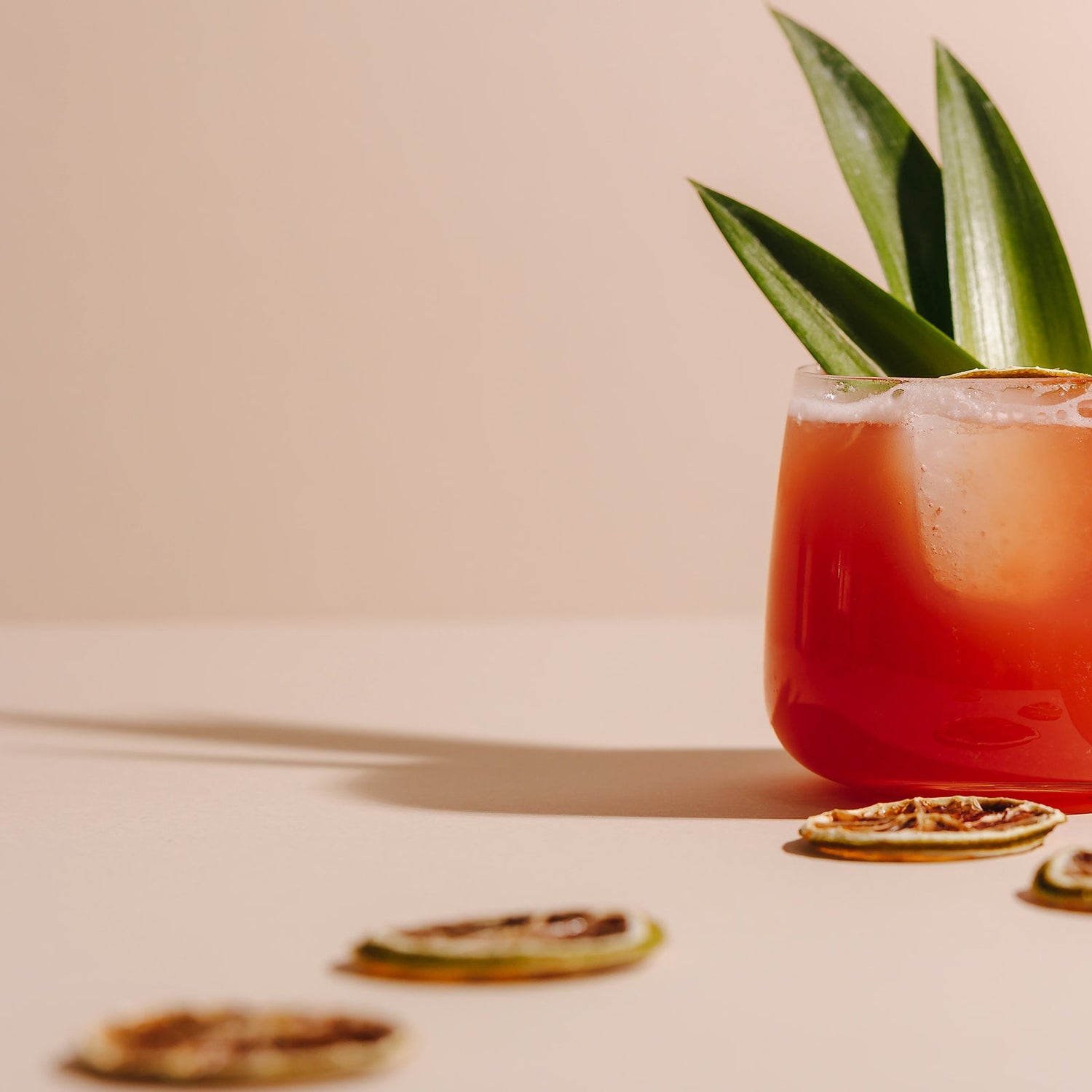 Nine Tines Summer Tines cocktail served over ice with pineapple leaves and lime garnish