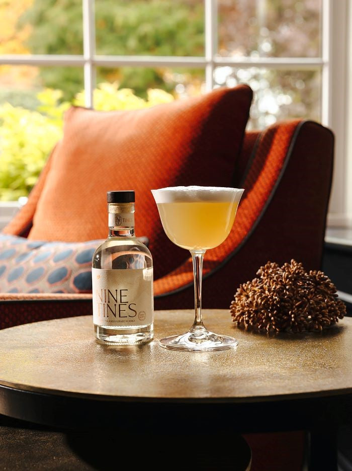 Nine Tines Cardamom and Vanilla Vodka Sour with creamy foam served in a sour glass 